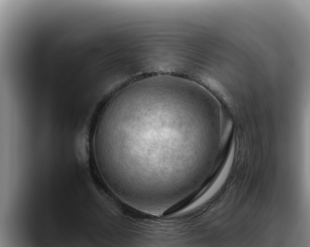 X0000090430680200707201137