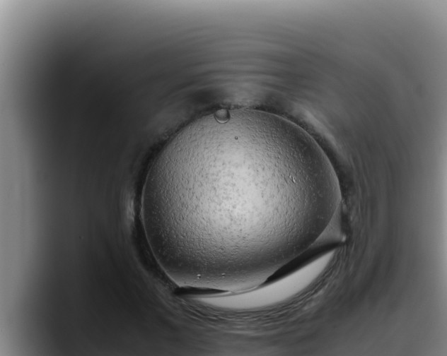 X0000090430685200707201137