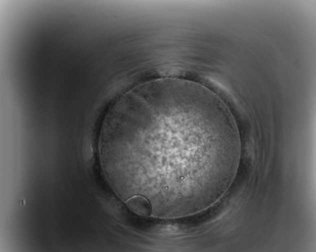X0000090430687200707201136