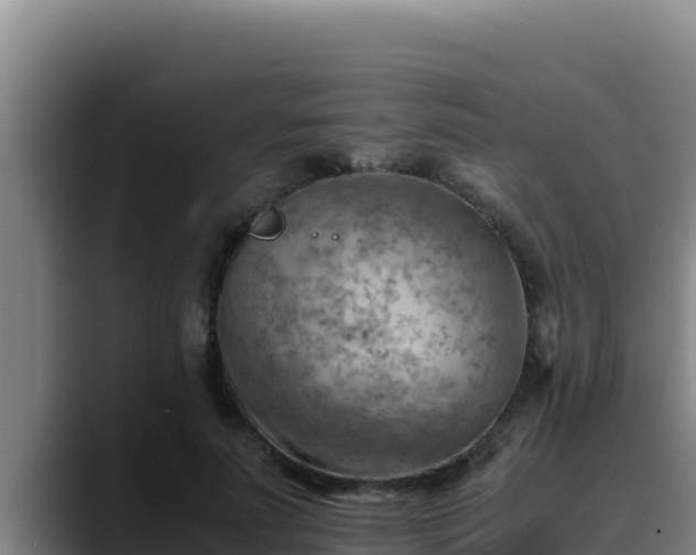 X0000090430691200707201136