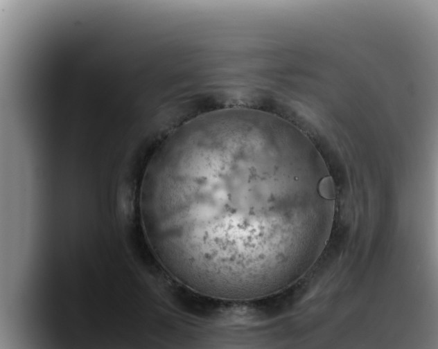 X0000090430695200707201136