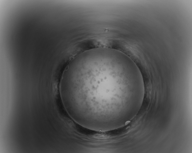 X0000090430699200707201136
