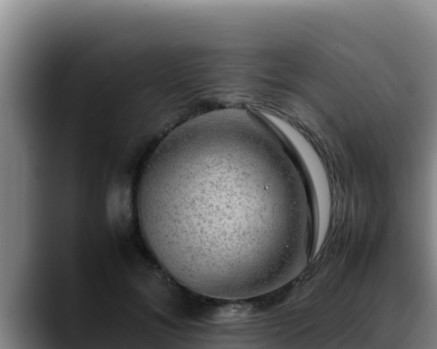 X0000090430700200707201136
