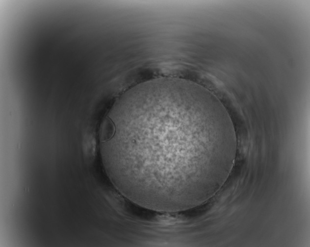 X0000090430703200707201136