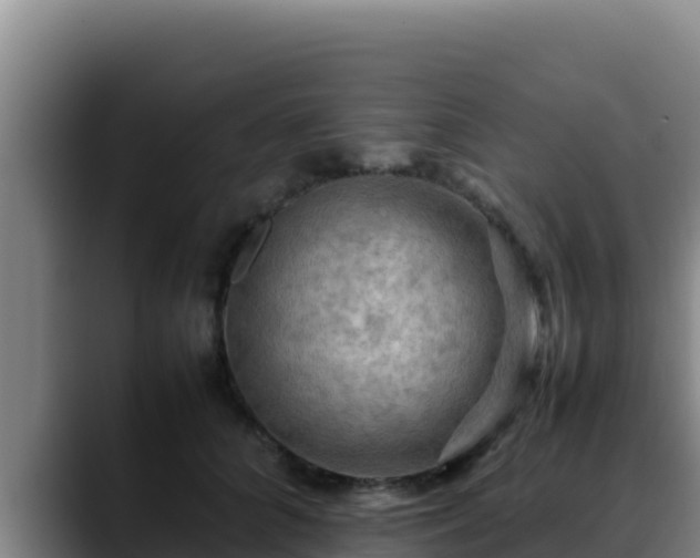 X0000090430704200707201136