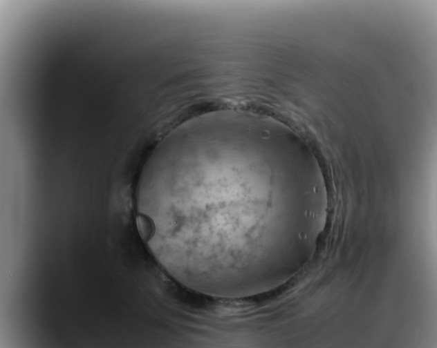 X0000090430707200707201136
