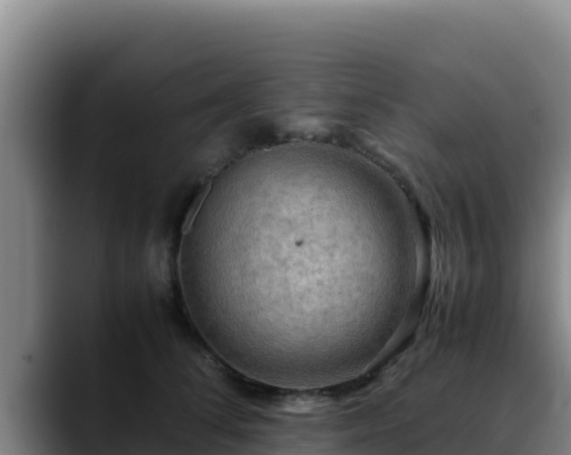 X0000090430708200707201136
