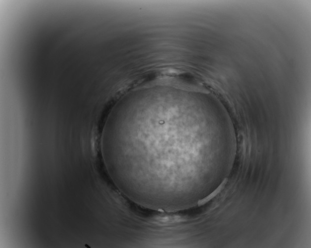 X0000090430712200707201136