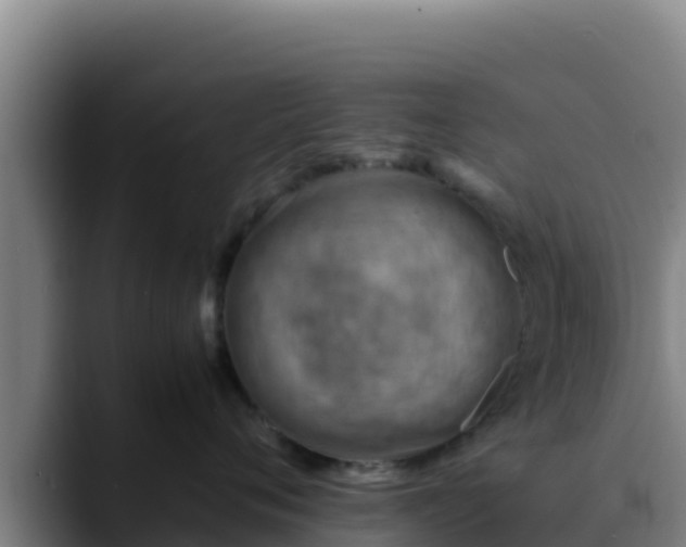 X0000090430720200707201136