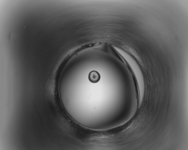 X0000090430724200707201135