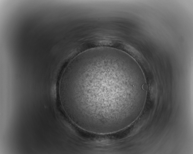 X0000090430729200707201135