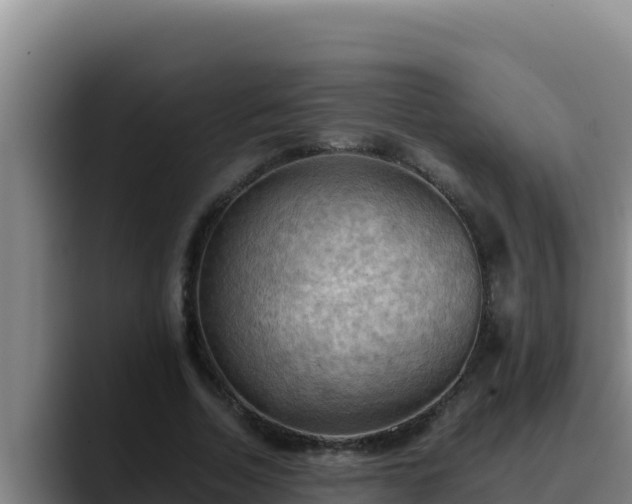 X0000090430730200707201135