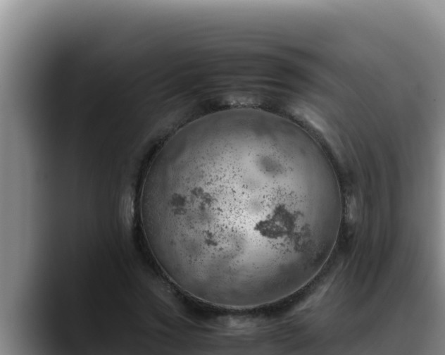 X0000090430733200707201136