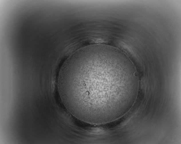 X0000090430741200707201136