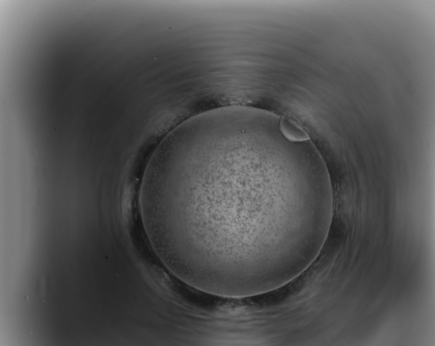 X0000090430742200707201136