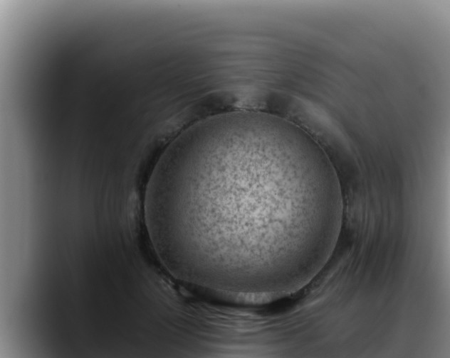 X0000090430748200707201136