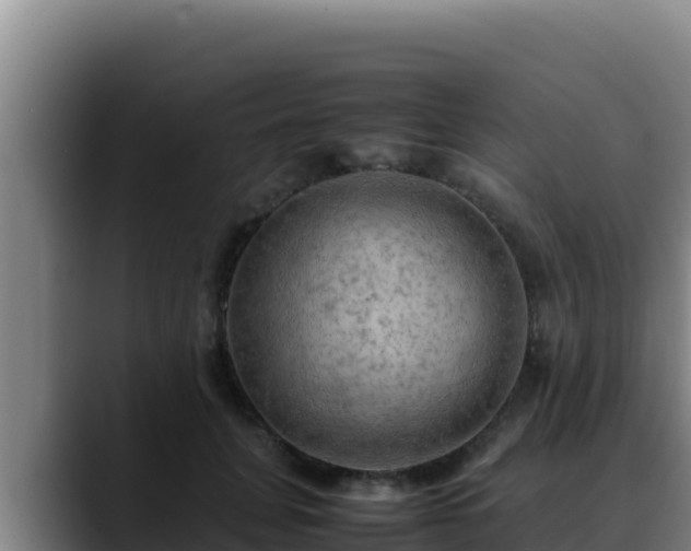 X0000090430751200707201136