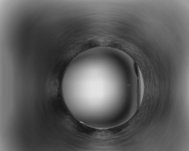 X0000090430752200707201136