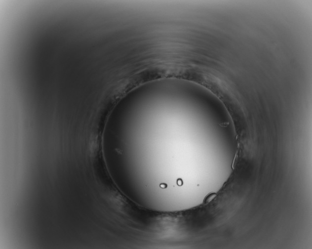 X0000090430756200707201136