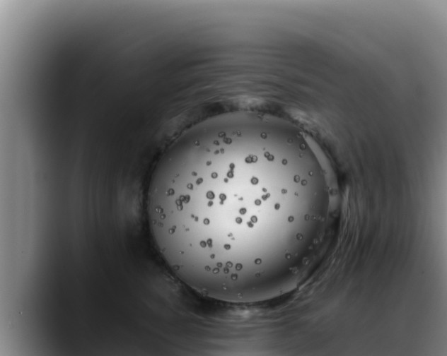 X0000090430760200707201136