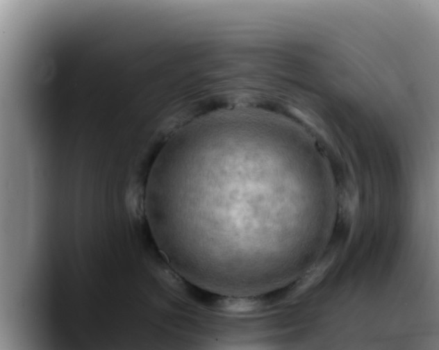 X0000090430766200707201136