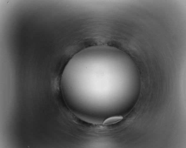 X0000090430768200707201136