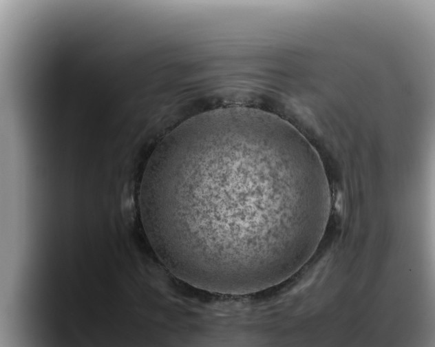 X0000090430771200707201135
