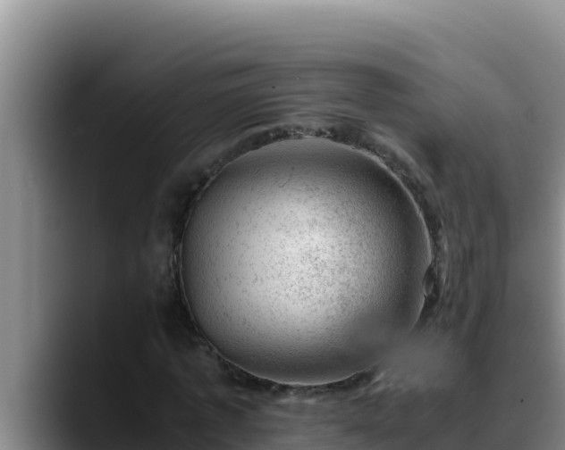 X0000090430773200707201135