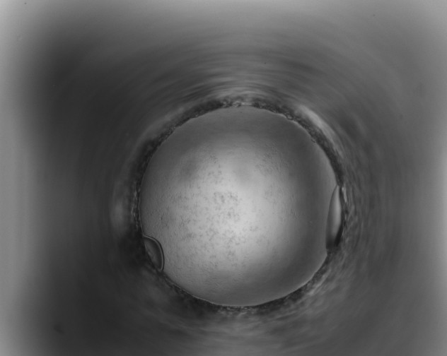 X0000090430775200707201135
