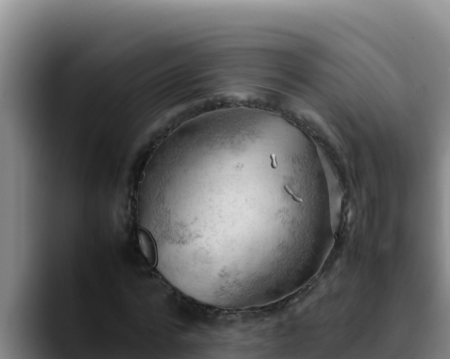 X0000090430776200707201135