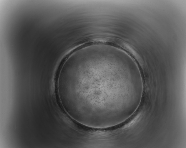 X0000090430779200707201135
