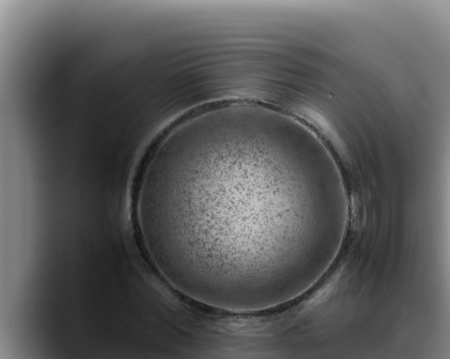 X0000090430780200707201135