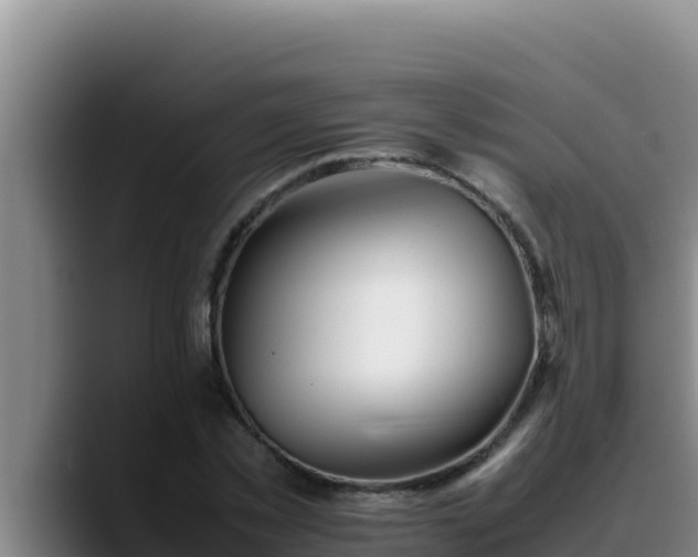 X0000090430781200707201135
