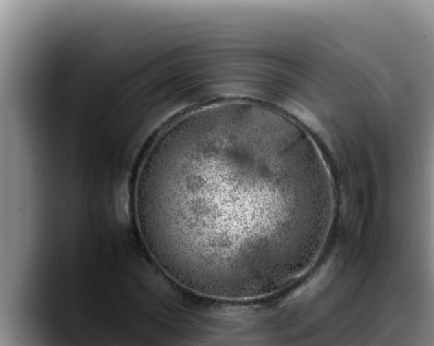 X0000090430782200707201135