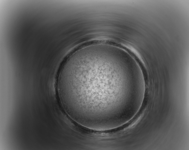 X0000090430783200707201135