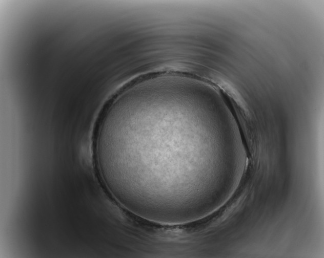X0000090430784200707201135