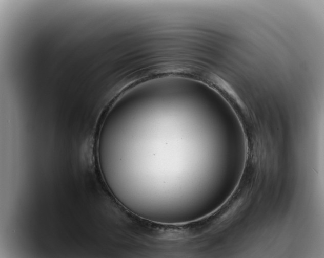 X0000090430786200707201135