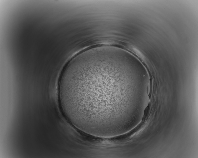 X0000090430787200707201135