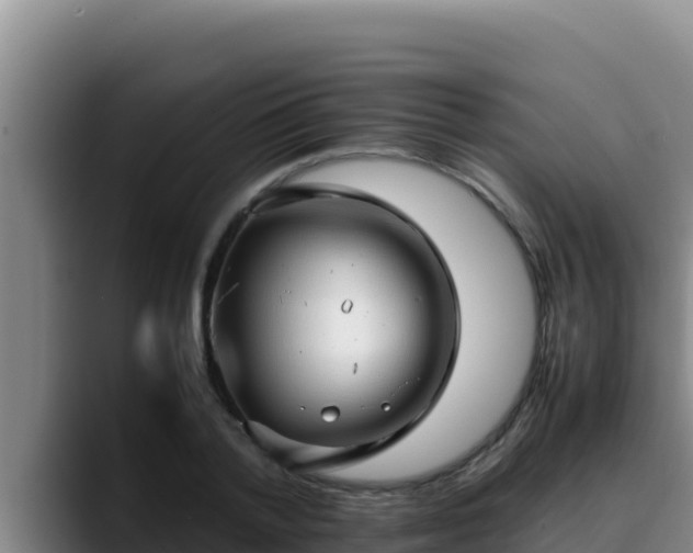 X0000090430788200707201135