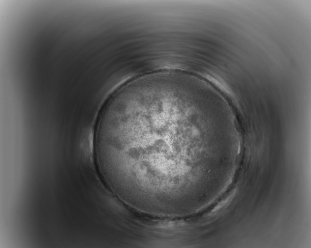 X0000090430790200707201135