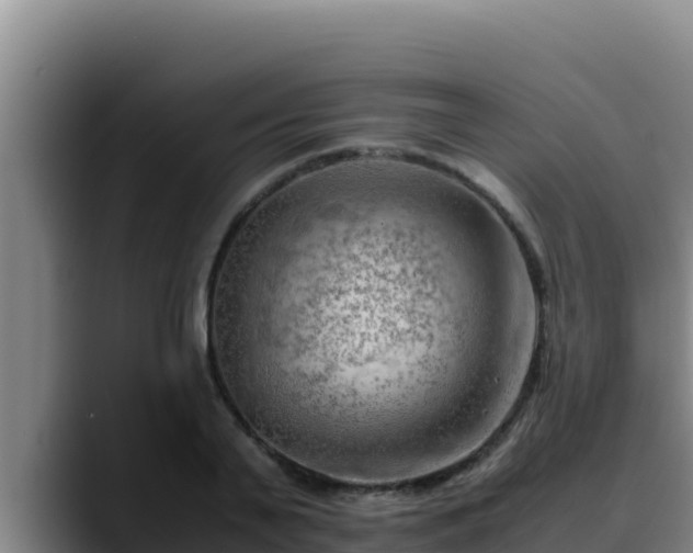X0000090430791200707201135