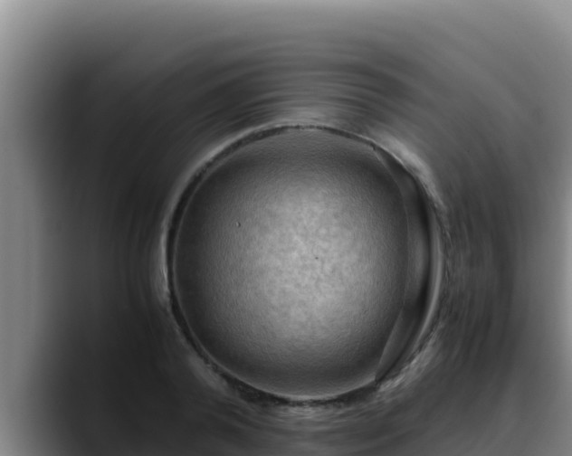 X0000090430792200707201135