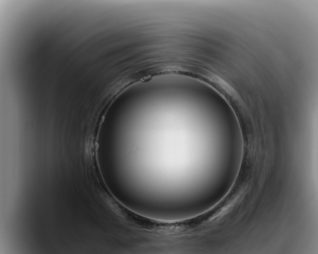 X0000090430793200707201135