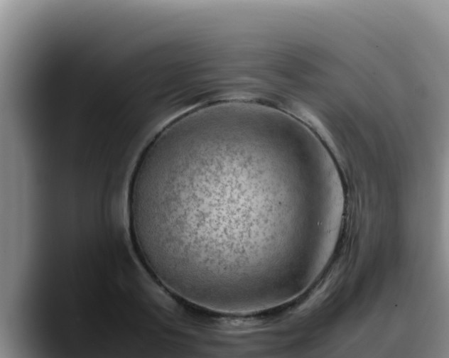 X0000090430795200707201135