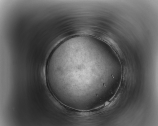 X0000090430796200707201135