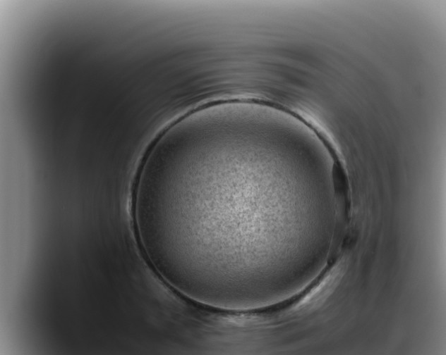X0000090430797200707201135