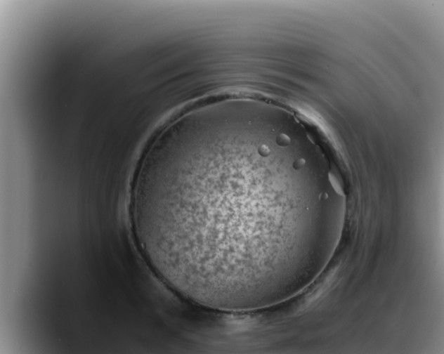 X0000090430799200707201135