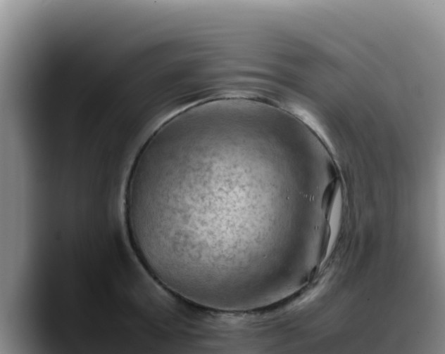 X0000090430803200707201135