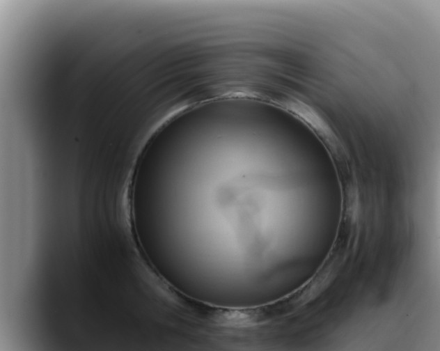 X0000090430806200707201135