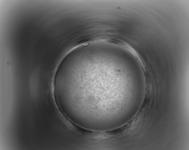 X0000090430811200707201135